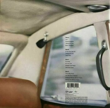 Disco in vinile Lenny Kravitz - 5 (Album) (2 LP) - 13