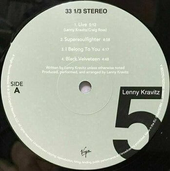 Vinyl Record Lenny Kravitz - 5 (Album) (2 LP) - 2