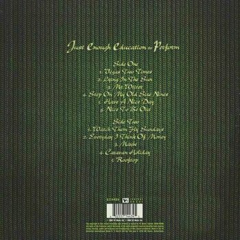 Vinylskiva Stereophonics - Just Enough Education To (LP) - 2