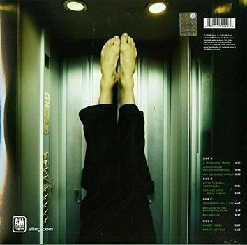 Vinyylilevy Sting - Brand New Day (2 LP) - 2
