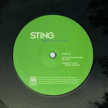 Vinyylilevy Sting - Brand New Day (2 LP) - 5