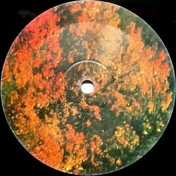 Vinylskiva Tame Impala - Innerspeaker (2 LP) - 5