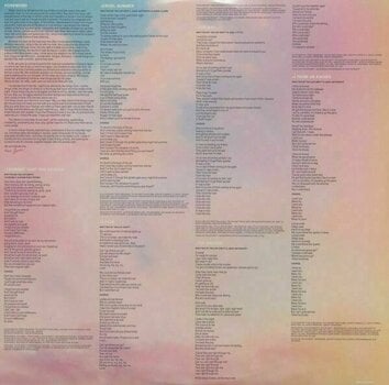 Disco de vinilo Taylor Swift - Lover (2 LP) - 9