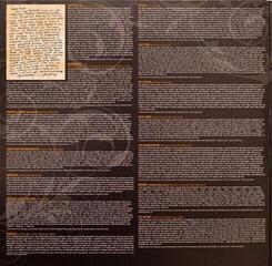LP deska Taylor Swift - Fearless (2 LP) - 5