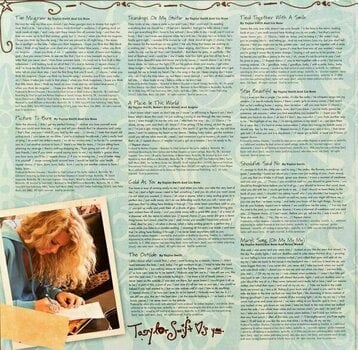 Vinyl Record Taylor Swift - Taylor Swift (2 LP) - 6