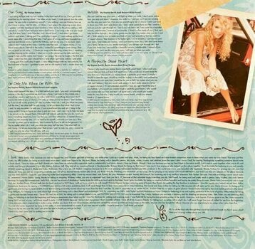 Vinyl Record Taylor Swift - Taylor Swift (2 LP) - 7