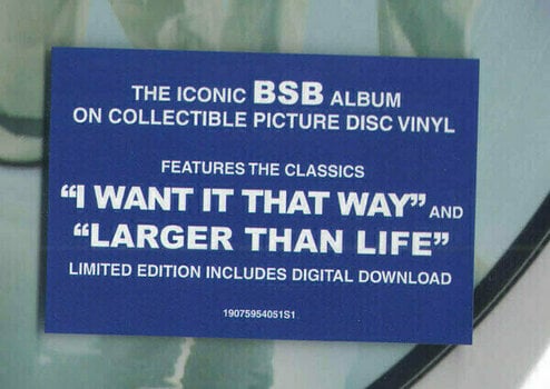 Vinyl Record Backstreet Boys Millennium (LP) - 6