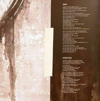 LP deska Rag'n'Bone Man - Human (Deluxe Edition) (2 LP) - 11