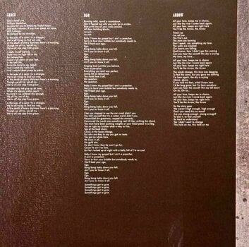 Vinyl Record Rag'n'Bone Man - Human (Deluxe Edition) (2 LP) - 14