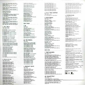 LP ploča System of a Down - Steal This Album! (2 LP) - 11