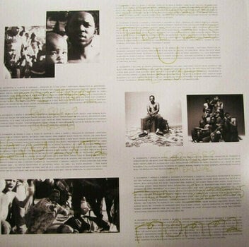 Disque vinyle Kendrick Lamar - To Pimp A Butterfly (2 LP) - 6