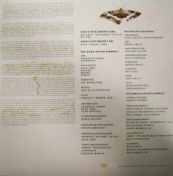 Vinylskiva Kendrick Lamar - To Pimp A Butterfly (2 LP) - 7