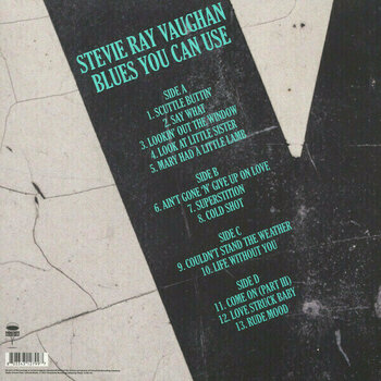 Disco de vinil Stevie Ray Vaughan - Blues You Can Use (2 LP) - 2
