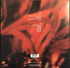 Disco in vinile Annie Lennox - Diva (LP) - 6