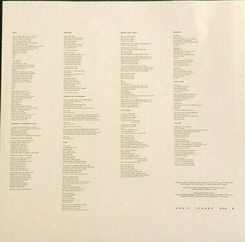 Vinyl Record Annie Lennox - Diva (LP) - 4