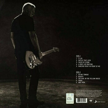 Disco de vinilo David Gilmour - Rattle That Lock (Gatefold Sleeve) (LP) - 8