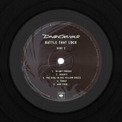 Disque vinyle David Gilmour - Rattle That Lock (Gatefold Sleeve) (LP) - 3