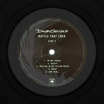 Vinylskiva David Gilmour - Rattle That Lock (Gatefold Sleeve) (LP) - 4