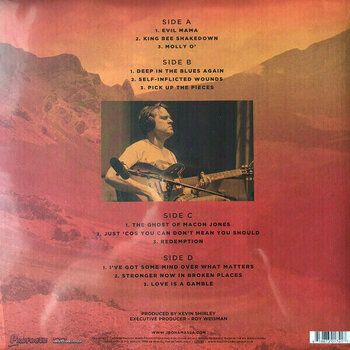 Vinyl Record Joe Bonamassa Redemption (2 LP) - 2