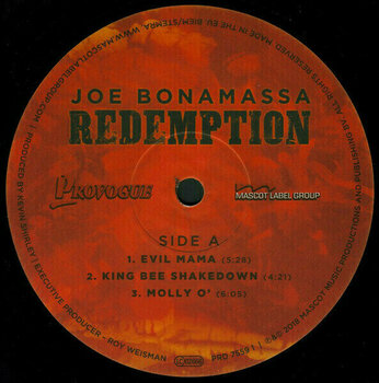 Disque vinyle Joe Bonamassa Redemption (2 LP) - 3