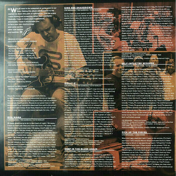 Vinyl Record Joe Bonamassa Redemption (2 LP) - 7