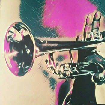 Disque vinyle Louis Armstrong - Collected (Gatefold Sleeve) (2 LP) - 6