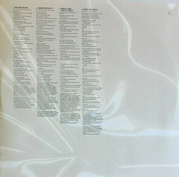 Disque vinyle Celine Dion Let's Talk About Love (2 LP) - 7