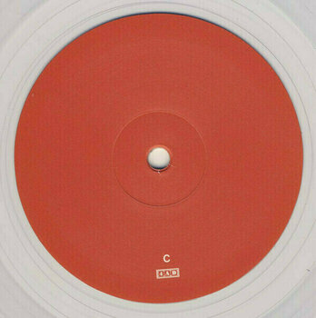 Vinyl Record National I Am Easy To Find - 8