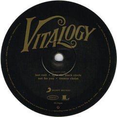 Грамофонна плоча Pearl Jam - Vitalogy (Remastered) (2 LP) - 1