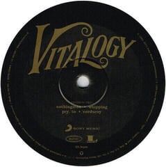 Грамофонна плоча Pearl Jam - Vitalogy (Remastered) (2 LP) - 2