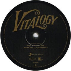 Грамофонна плоча Pearl Jam - Vitalogy (Remastered) (2 LP) - 3