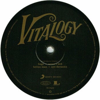 Vinyl Record Pearl Jam Vitalogy (2 LP) - 4