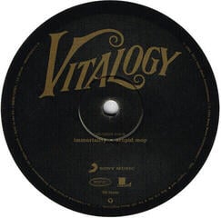 Грамофонна плоча Pearl Jam - Vitalogy (Remastered) (2 LP) - 4
