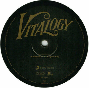 Schallplatte Pearl Jam Vitalogy (2 LP) - 5