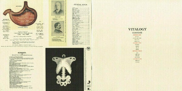 Vinylskiva Pearl Jam Vitalogy (2 LP) - 10