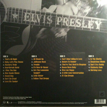 Vinyl Record Elvis Presley Essential Elvis Presley (2 LP) - 4