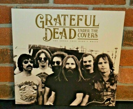 Vinyl Record Grateful Dead - Under The Covers (2 LP) - 2