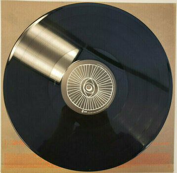 Vinylskiva Thom Yorke - Anima (2 LP) - 5