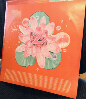 Schallplatte Björk - Post (LP) - 11