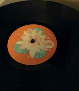 Disque vinyle Björk - Post (LP) - 13