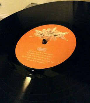 Vinylskiva Björk - Post (LP) - 14