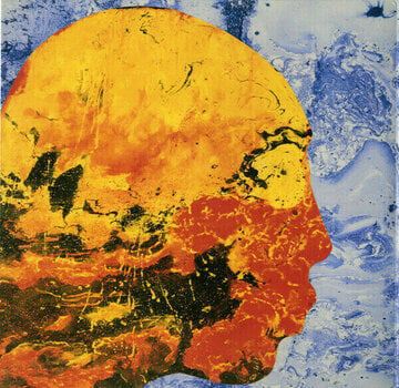 Грамофонна плоча Radiohead - A Moon Shaped Pool (2 LP) - 11