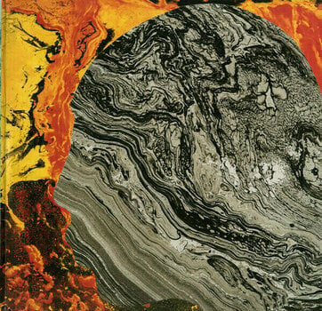 Vinyl Record Radiohead - A Moon Shaped Pool (2 LP) - 12