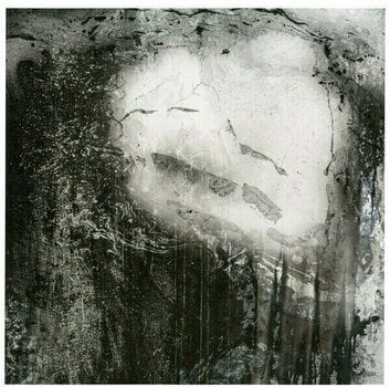 LP Radiohead - A Moon Shaped Pool (2 LP) - 15