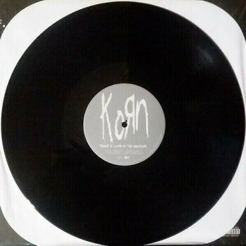 Vinyl Record Korn Take a Look In the Mirror (2 LP) - 2