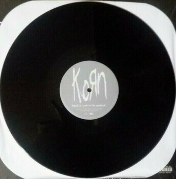 LP Korn Take a Look In the Mirror (2 LP) - 5