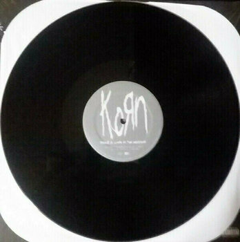Vinyl Record Korn Take a Look In the Mirror (2 LP) - 6