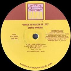 Hanglemez Stevie Wonder - Songs In The Key Of Life (2 LP+ 7" Vinyl) - 4