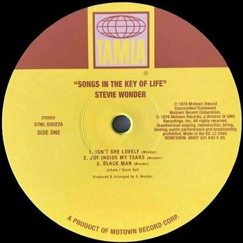 Disco de vinil Stevie Wonder - Songs In The Key Of Life (2 LP+ 7" Vinyl) - 5