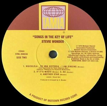 Vinylskiva Stevie Wonder - Songs In The Key Of Life (2 LP+ 7" Vinyl) - 6